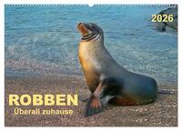 Vorderes Coverbild Robben - überall zuhause (Wandkalender 2026 DIN A2 quer), CALVENDO Monatskalender