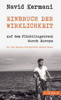Vorderes Coverbild Einbruch der Wirklichkeit