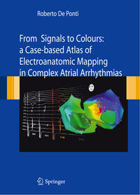 Vorderes Coverbild From Signals to Colours