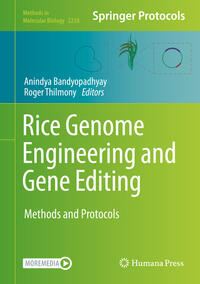 Vorderes Coverbild Rice Genome Engineering and Gene Editing