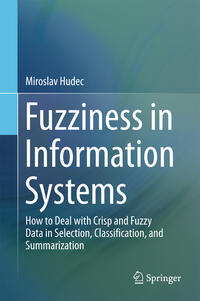 Vorderes Coverbild Fuzziness in Information Systems