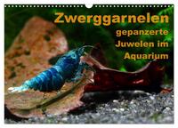 Vorderes Coverbild Zwerggarnelen - gepanzerte Juwelen im Aquarium (Wandkalender 2025 DIN A3 quer), CALVENDO Monatskalender