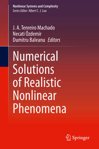 Vorderes Coverbild Numerical Solutions of Realistic Nonlinear Phenomena