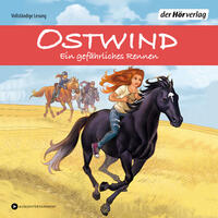 Vorderes Coverbild Ostwind - Ein gefährliches Rennen