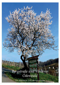 Vorderes Coverbild Bergstraße und Vorderer Odenwald