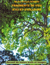 Vorderes Coverbild Fragments de vies d'ici et d'ailleurs