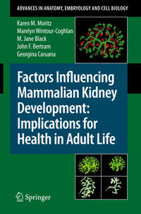 Vorderes Coverbild Factors Influencing Mammalian Kidney Development: Implications for Health in Adult Life
