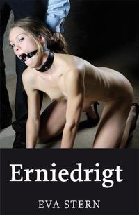 Vorderes Coverbild Erniedrigt