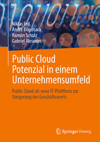 Vorderes Coverbild Public Cloud Potenzial in einem Unternehmensumfeld