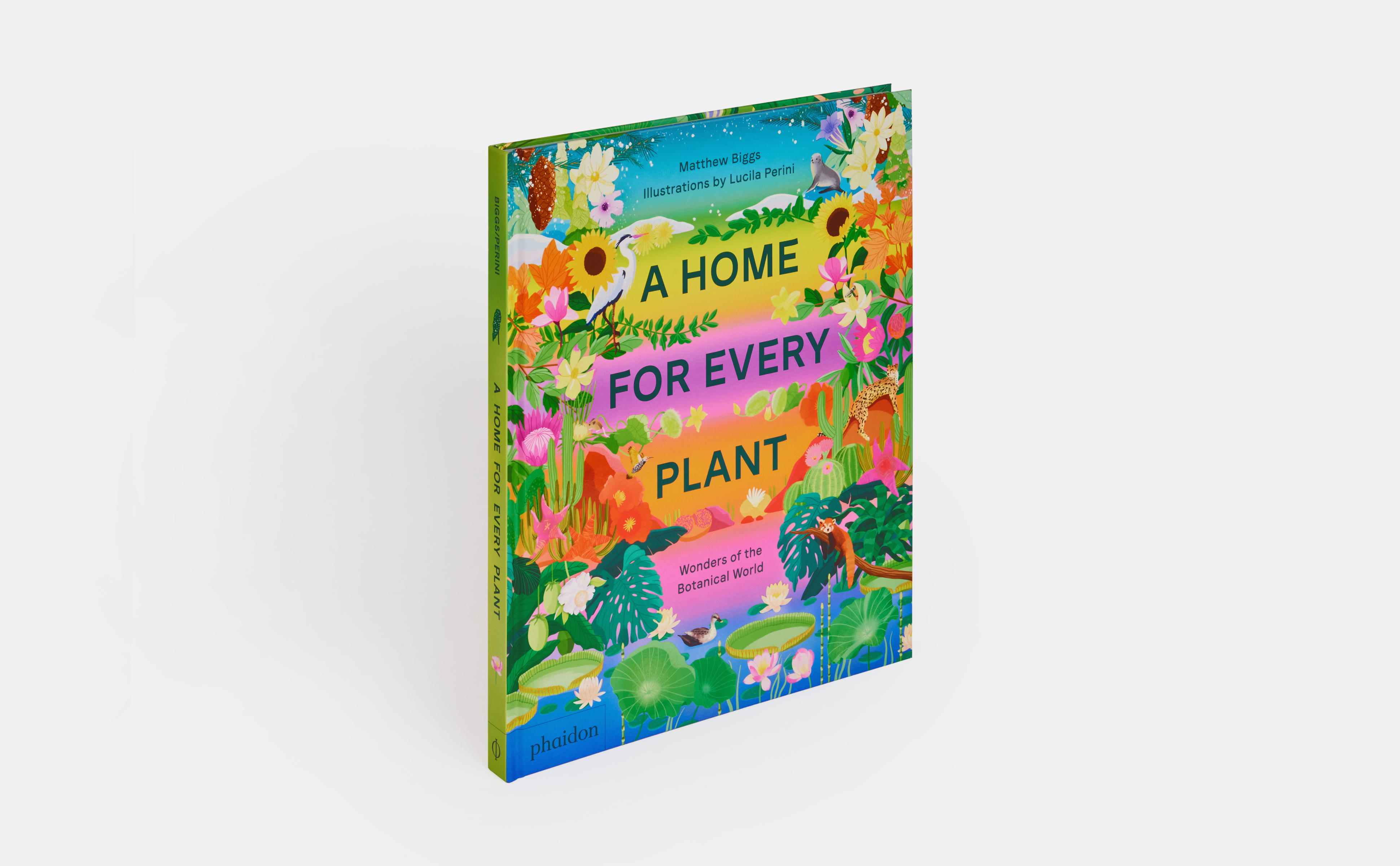 Beispielinhalt (Bild) A Home for Every Plant