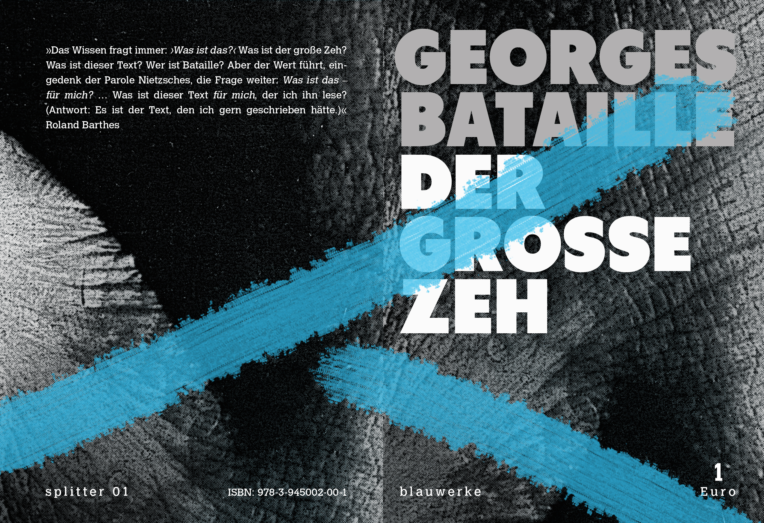Gesamtes Coverbild Der große Zeh
