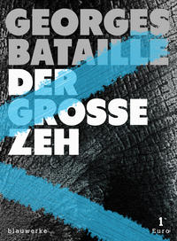 Vorderes Coverbild Der große Zeh