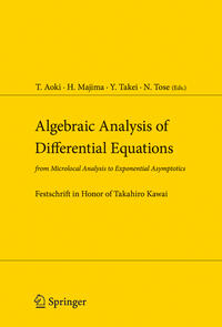 Vorderes Coverbild Algebraic Analysis of Differential Equations
