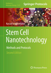 Vorderes Coverbild Stem Cell Nanotechnology
