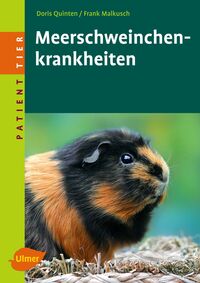 Vorderes Coverbild Meerschweinchenkrankheiten