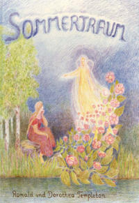 Vorderes Coverbild Sommertraum