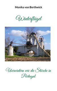 Vorderes Coverbild Winterflügel