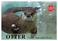 Vorderes Coverbild Otter. Frech, laut und clever (Wandkalender 2025 DIN A3 quer), CALVENDO Monatskalender