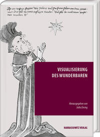 Vorderes Coverbild Visualisierung des Wunderbaren
