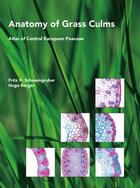 Vorderes Coverbild Anatomy of Grass Culms