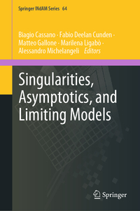 Vorderes Coverbild Singularities, Asymptotics, and Limiting Models