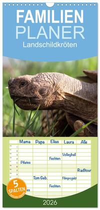 Vorderes Coverbild Familienplaner 2026 - Landschildkröten mit 5 Spalten (Wandkalender, 21 x 45 cm) CALVENDO