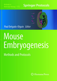 Vorderes Coverbild Mouse Embryogenesis