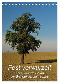 Vorderes Coverbild Fest verwurzelt - Faszinierende Bäume im Wandel der Jahreszeit (Tischkalender 2026 DIN A5 hoch), CALVENDO Monatskalender