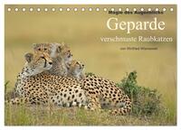 Vorderes Coverbild Magie des Augenblicks - Geparde - verschmuste Raubkatzen (Tischkalender 2025 DIN A5 quer), CALVENDO Monatskalender