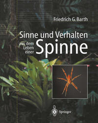 Vorderes Coverbild Sinne und Verhalten: aus dem Leben einer Spinne