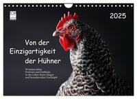 Vorderes Coverbild Von der Einzigartigkeit der Hühner 2025 (Wandkalender 2025 DIN A4 quer), CALVENDO Monatskalender