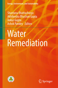 Vorderes Coverbild Water Remediation