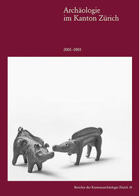 Vorderes Coverbild Archäologie im Kanton Zürich 2003–2005