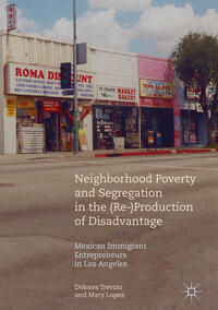 Vorderes Coverbild Neighborhood Poverty and Segregation in the (Re-)Production of Disadvantage