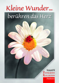 Vorderes Coverbild Kleine Wunder berühren das Herz