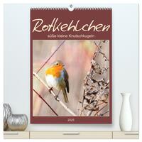 Vorderes Coverbild Rotkehlchen, süße kleine Knutschkugeln (hochwertiger Premium Wandkalender 2025 DIN A2 hoch), Kunstdruck in Hochglanz