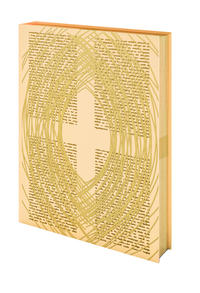 Vorderes Coverbild Die Feier der Heiligen Messe - Evangeliar für die Bistümer des deutschen Sprachgebiets. Ausgabe B. Mit 35 Bildtafeln.