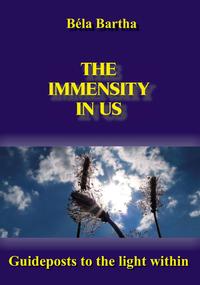 Vorderes Coverbild The immensity in us