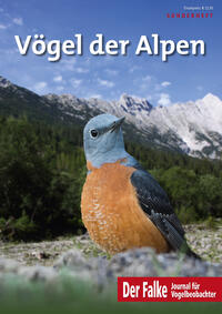 Vorderes Coverbild Vögel der Alpen