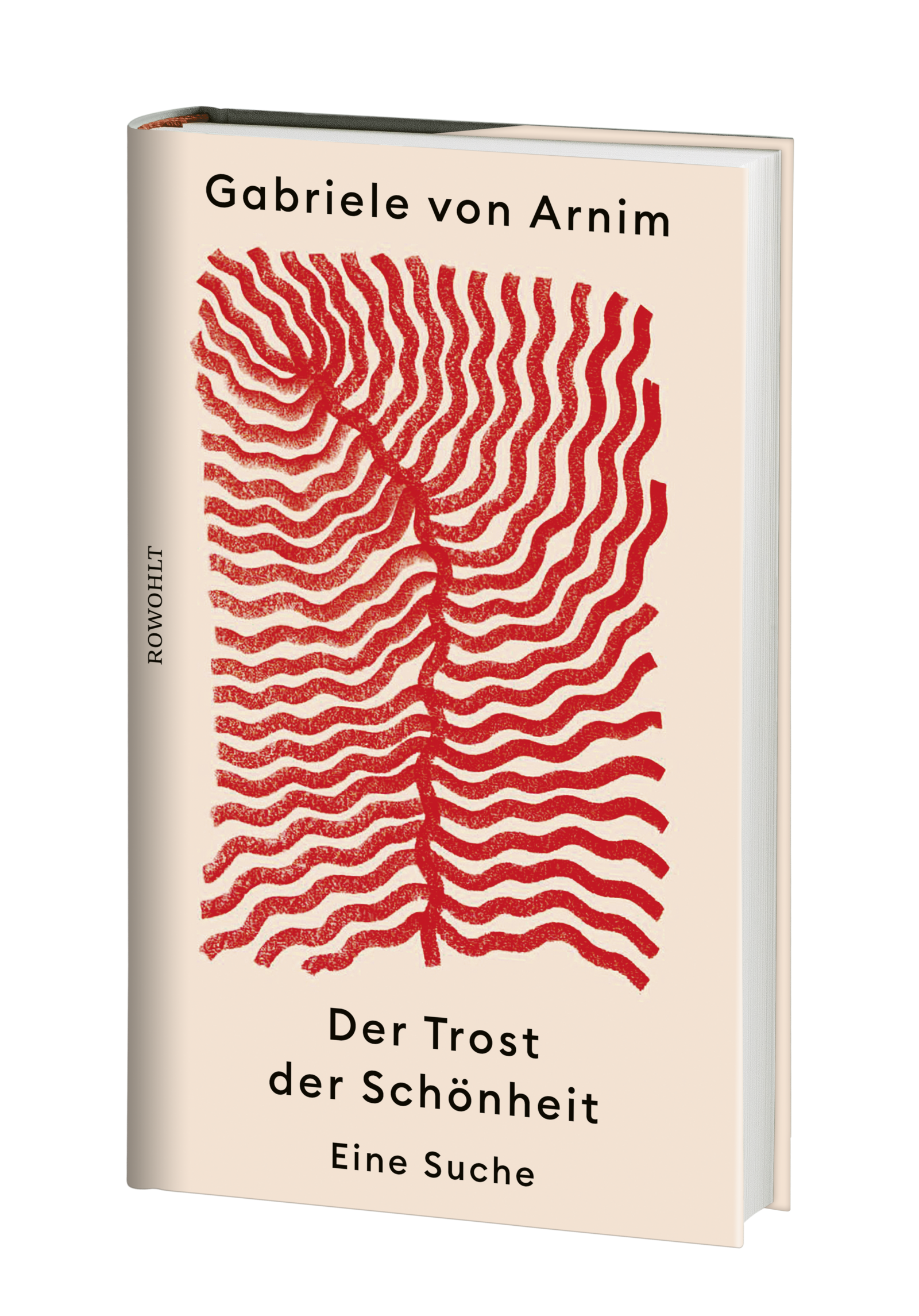 Anderes Coverbild Der Trost der Schönheit