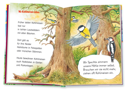 Beispielinhalt (Bild) Die Meise