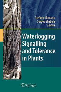 Vorderes Coverbild Waterlogging Signalling and Tolerance in Plants