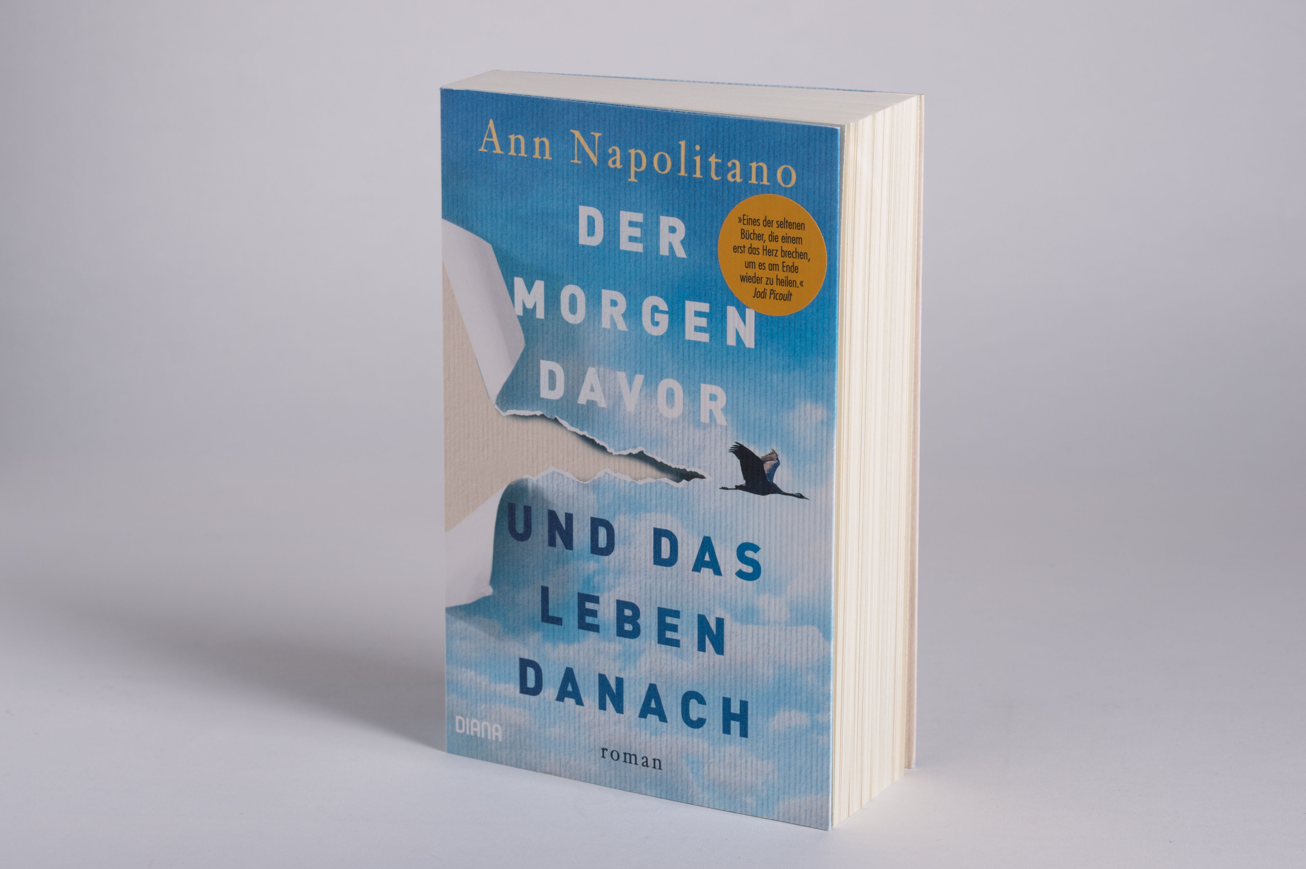 Beispielinhalt (Bild) Der Morgen davor und das Leben danach