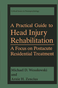 Vorderes Coverbild A Practical Guide to Head Injury Rehabilitation