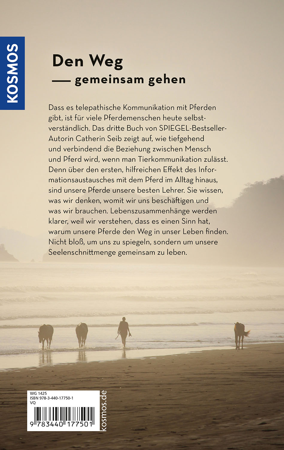 Rückseitencover Der Raum dazwischen