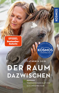Vorderes Coverbild Der Raum dazwischen