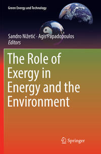 Vorderes Coverbild The Role of Exergy in Energy and the Environment