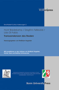Vorderes Coverbild Transzendenzen des Realen