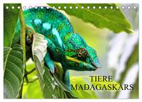 Vorderes Coverbild Tiere Madagaskars (Tischkalender 2025 DIN A5 quer), CALVENDO Monatskalender