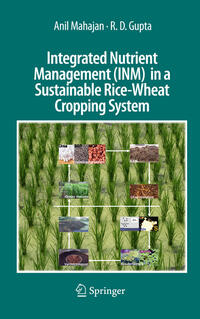 Vorderes Coverbild Integrated Nutrient Management (INM) in a Sustainable Rice-Wheat Cropping System